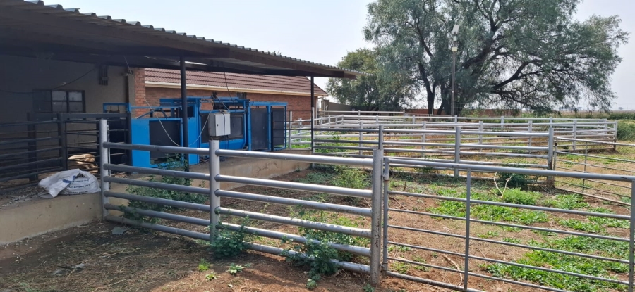  Bedroom Property for Sale in Bainsvlei Free State